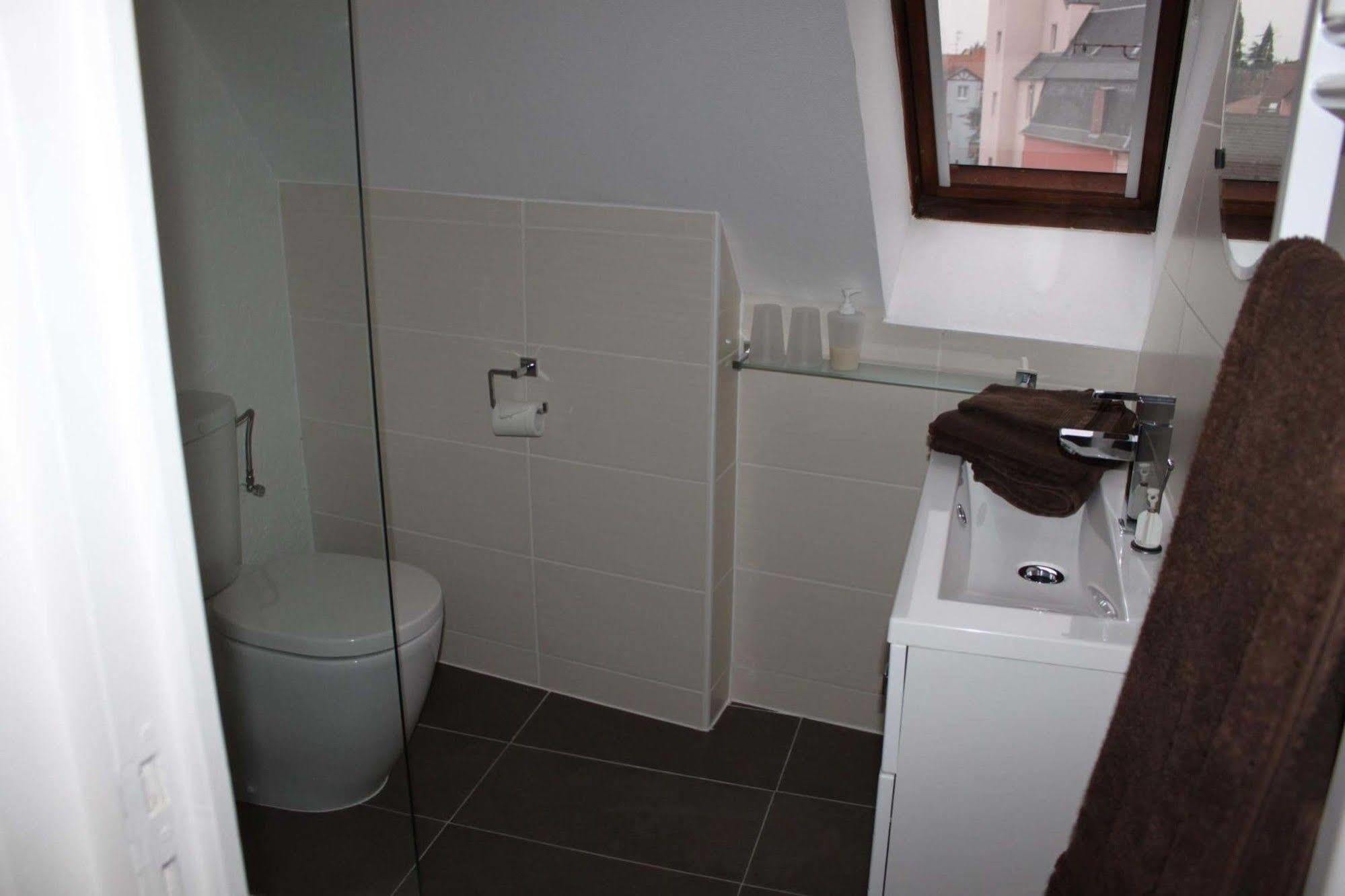 Les Appartements De Home Petite Venise Colmar Exterior foto